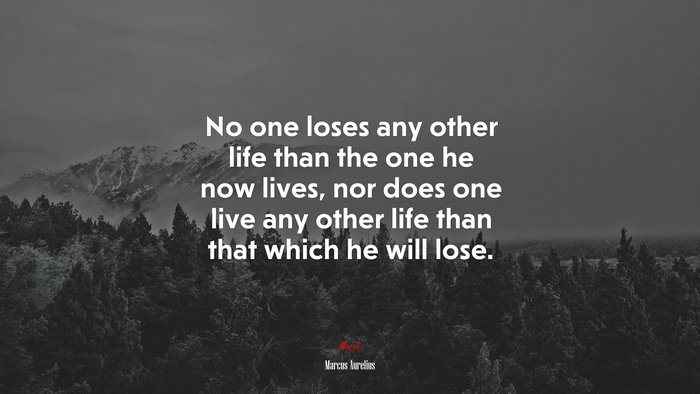 No one loses any other life than the one he now lives, nor does one live any other life than that which he will lose. | Marcus Aurelius quote