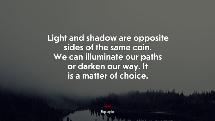 Light and shadow are opposite sides of the same coin. We can illuminate our paths or darken our way. It is a matter of choice. | Maya Angelou quote