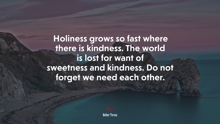 Holiness grows so fast where there is kindness. The world is lost for want of sweetness and kindness. Do not forget we need each other. | Mother Teresa quote
