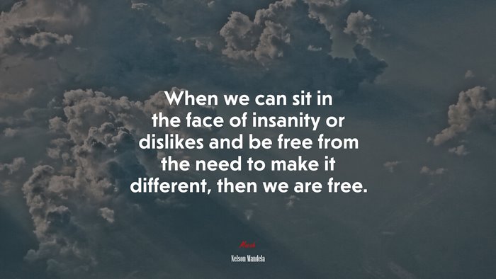 When we can sit in the face of insanity or dislikes and be free from the need to make it different, then we are free. | Nelson Mandela quote