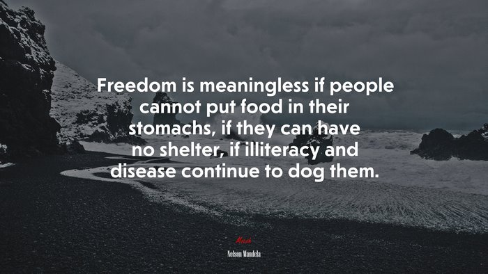 Freedom is meaningless if people cannot put food in their stomachs, if they can have no shelter, if illiteracy and disease continue to dog them. | Nelson Mandela quote