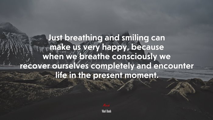 Just breathing and smiling can make us very happy, because when we breathe consciously we recover ourselves completely and encounter life in the present moment. | Nhat Hanh quote