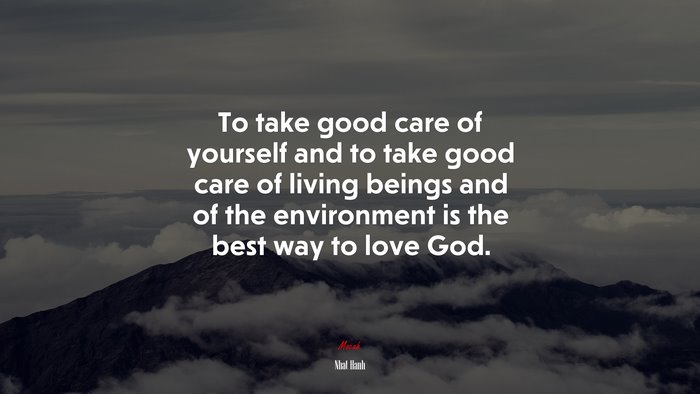 To take good care of yourself and to take good care of living beings and of the environment is the best way to love God. | Nhat Hanh quote