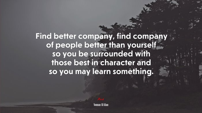 Find better company, find company of people better than yourself so you be surrounded with those best in character and so you may learn something. | Nouman Ali Khan quote