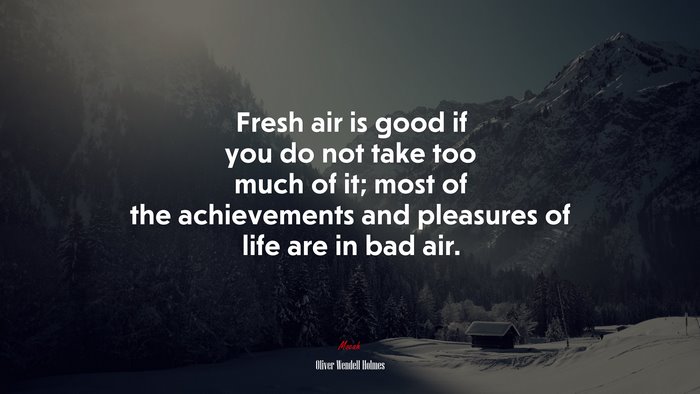 Fresh air is good if you do not take too much of it; most of the achievements and pleasures of life are in bad air. | Oliver Wendell Holmes quote