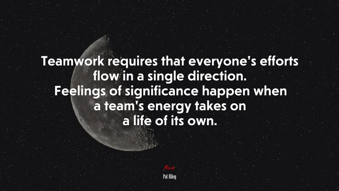Teamwork requires that everyone’s efforts flow in a single direction. Feelings of significance happen when a team’s energy takes on a life of its own. | Pat Riley quote