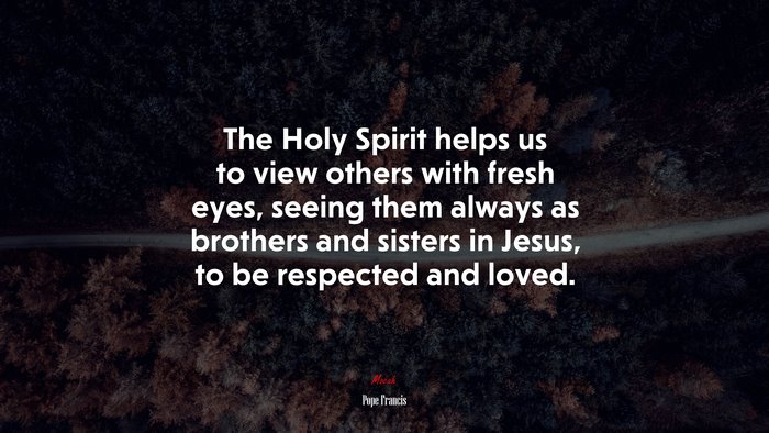 The Holy Spirit helps us to view others with fresh eyes, seeing them always as brothers and sisters in Jesus, to be respected and loved. | Pope Francis quote
