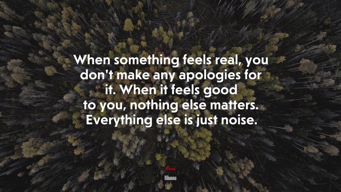 When something feels real, you don’t make any apologies for it. When it feels good to you, nothing else matters. Everything else is just noise. | Rihanna quote