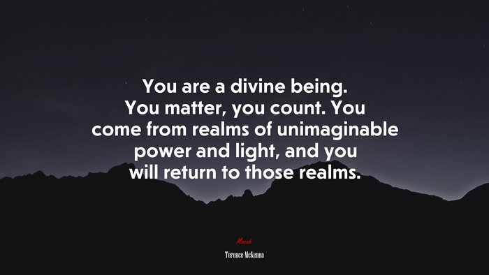 You are a divine being. You matter, you count. You come from realms of unimaginable power and light, and you will return to those realms. | Terence McKenna quote