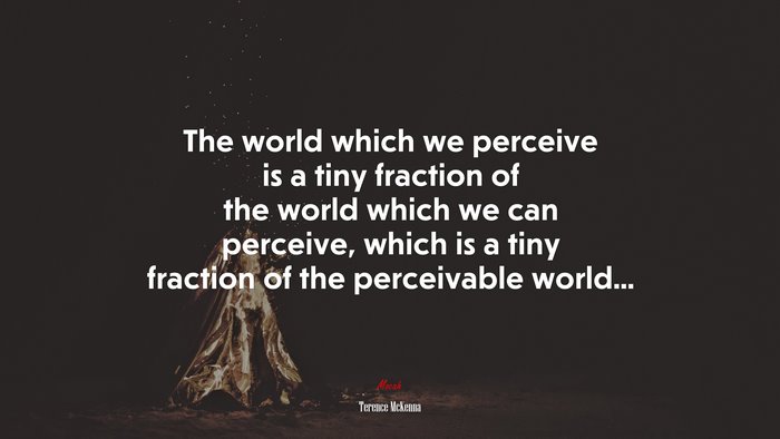 The world which we perceive is a tiny fraction of the world which we can perceive, which is a tiny fraction of the perceivable world... | Terence McKenna quote