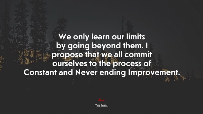 We only learn our limits by going beyond them. I propose that we all commit ourselves to the process of Constant and Never ending Improvement. | Tony Robbins quote
