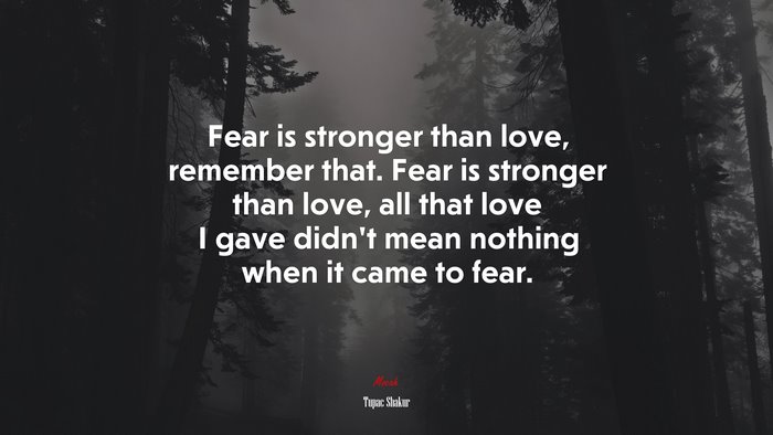 Fear is stronger than love, remember that. Fear is stronger than love, all that love I gave didn’t mean nothing when it came to fear. | Tupac Shakur quote