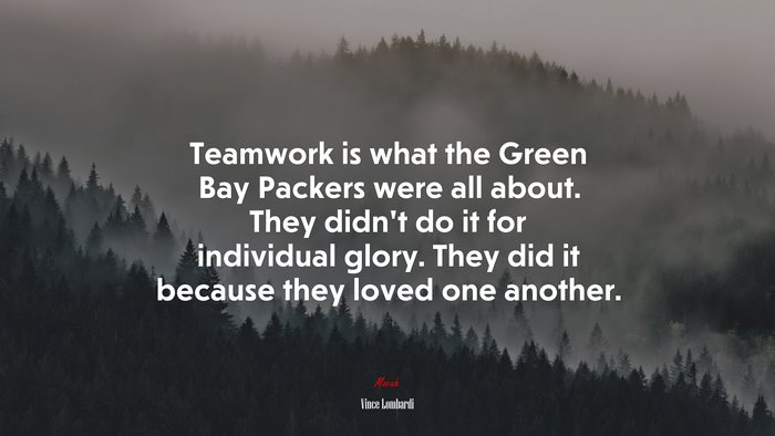 Teamwork is what the Green Bay Packers were all about. They didn’t do it for individual glory. They did it because they loved one another. | Vince Lombardi quote