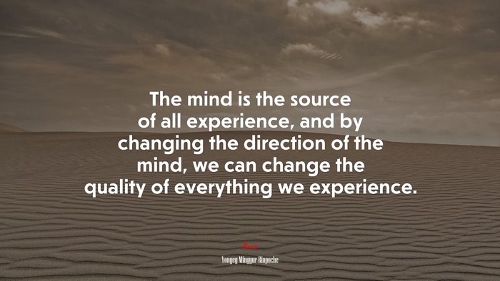 The mind is the source of all experience, and by changing the direction of the mind, we can change the quality of everything we experience. | Yongey Mingyur Rinpoche quote