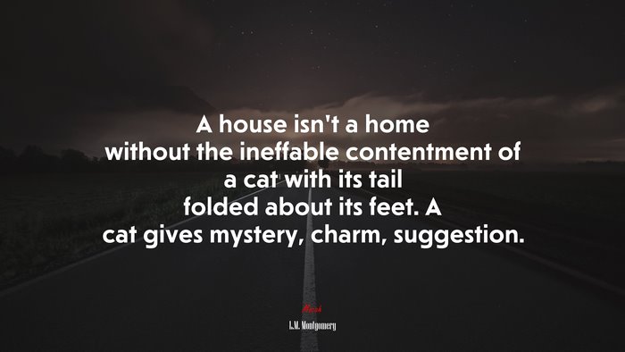 A house isn’t a home without the ineffable contentment of a cat with its tail folded about its feet. A cat gives mystery, charm, suggestion. | L.M. Montgomery quote