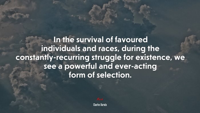 In the survival of favoured individuals and races, during the constantly-recurring struggle for existence, we see a powerful and ever-acting form of selection. | Charles Darwin quote