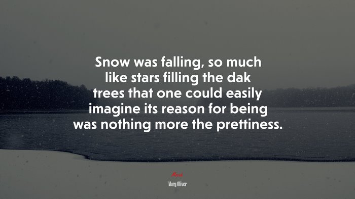Snow was falling, so much like stars filling the dak trees that one could easily imagine its reason for being was nothing more the prettiness. | Mary Oliver quote