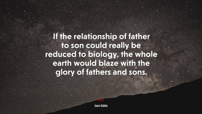If the relationship of father to son could really be reduced to biology, the whole earth would blaze with the glory of fathers and sons. | James Baldwin quote