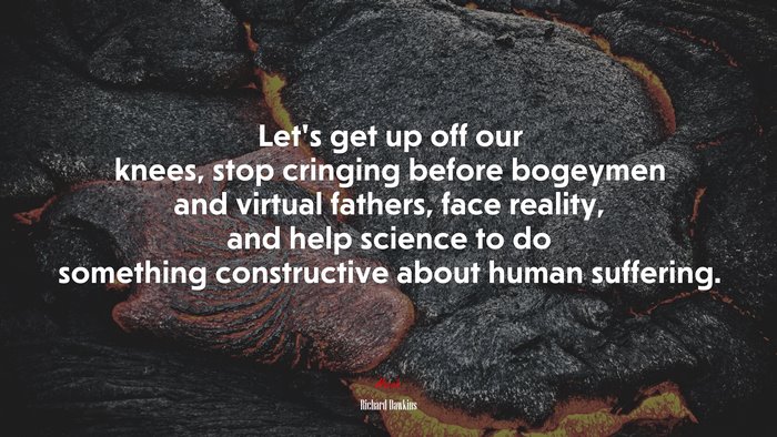 Let’s get up off our knees, stop cringing before bogeymen and virtual fathers, face reality, and help science to do something constructive about human suffering. | Richard Dawkins quote