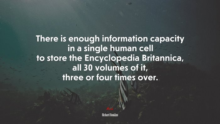 There is enough information capacity in a single human cell to store the Encyclopedia Britannica, all 30 volumes of it, three or four times over. | Richard Dawkins quote