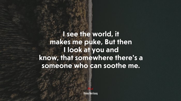 I see the world, it makes me puke, But then I look at you and know, that somewhere there’s a someone who can soothe me. | Steven Morrissey quote