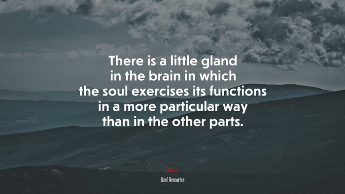 There is a little gland in the brain in which the soul exercises its functions in a more particular way than in the other parts. | René Descartes quote