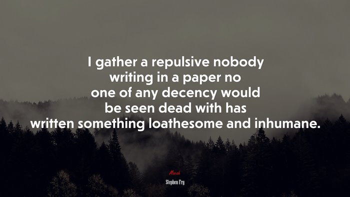 I gather a repulsive nobody writing in a paper no one of any decency would be seen dead with has written something loathesome and inhumane. | Stephen Fry quote