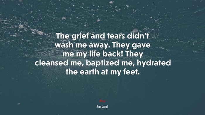 The grief and tears didn’t wash me away. They gave me my life back! They cleansed me, baptized me, hydrated the earth at my feet. | Anne Lamott quote