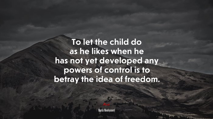 To let the child do as he likes when he has not yet developed any powers of control is to betray the idea of freedom. | Maria Montessori quote