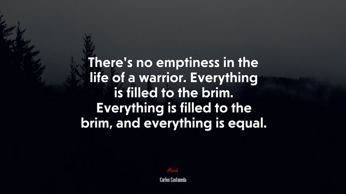 There’s no emptiness in the life of a warrior. Everything is filled to the brim. Everything is filled to the brim, and everything is equal. | Carlos Castaneda quote