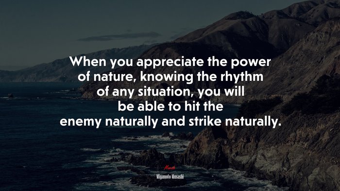 When you appreciate the power of nature, knowing the rhythm of any situation, you will be able to hit the enemy naturally and strike naturally. | Miyamoto Musashi quote