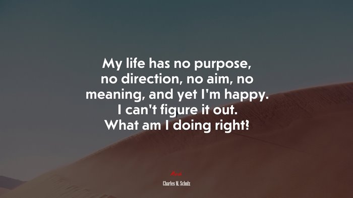 My life has no purpose, no direction, no aim, no meaning, and yet I’m happy. I can’t figure it out. What am I doing right? | Charles M. Schulz quote