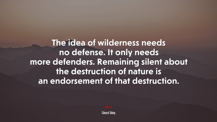 The idea of wilderness needs no defense. It only needs more defenders. Remaining silent about the destruction of nature is an endorsement of that destruction. | Edward Abbey quote