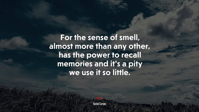 For the sense of smell, almost more than any other, has the power to recall memories and it’s a pity we use it so little. | Rachel Carson quote