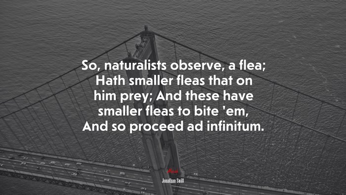 So, naturalists observe, a flea; Hath smaller fleas that on him prey; And these have smaller fleas to bite ’em, And so proceed ad infinitum. | Jonathan Swift quote