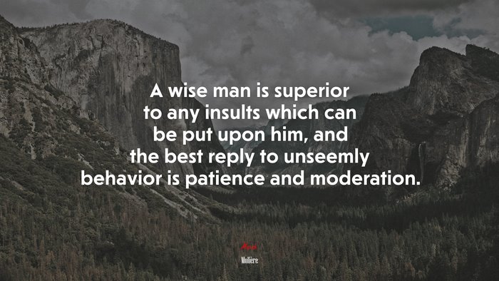 A wise man is superior to any insults which can be put upon him, and the best reply to unseemly behavior is patience and moderation. | Molière quote