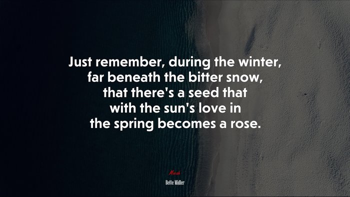 Just remember, during the winter, far beneath the bitter snow, that there’s a seed that with the sun’s love in the spring becomes a rose. | Bette Midler quote