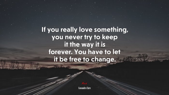 If you really love something, you never try to keep it the way it is forever. You have to let it be free to change. | Cassandra Clare quote
