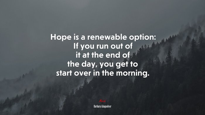 Hope is a renewable option: If you run out of it at the end of the day, you get to start over in the morning. | Barbara Kingsolver quote