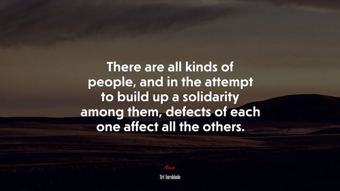 There are all kinds of people, and in the attempt to build up a solidarity among them, defects of each one affect all the others. | Sri Aurobindo quote