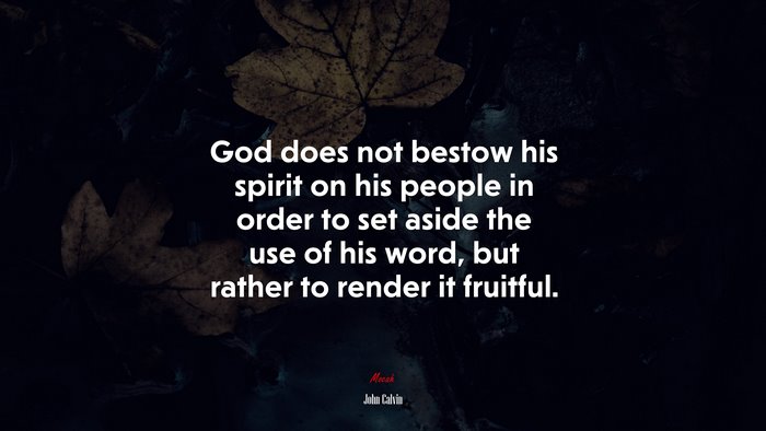God does not bestow his spirit on his people in order to set aside the use of his word, but rather to render it fruitful. | John Calvin quote