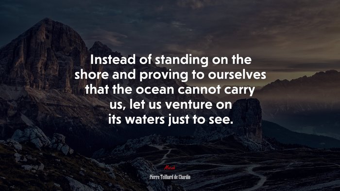 Instead of standing on the shore and proving to ourselves that the ocean cannot carry us, let us venture on its waters just to see. | Pierre Teilhard de Chardin quote