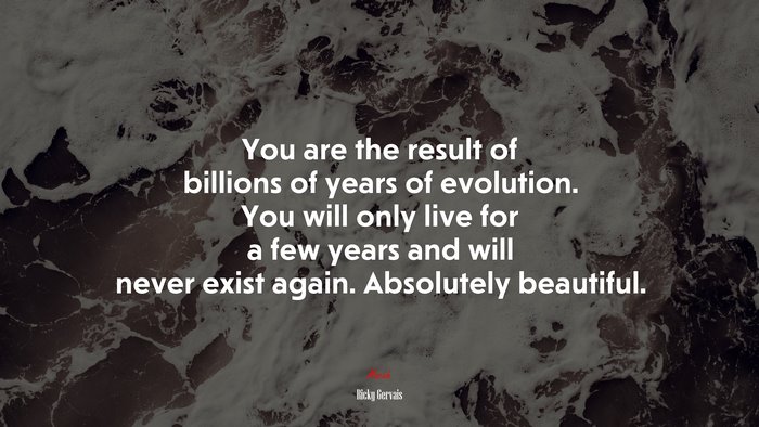 You are the result of billions of years of evolution. You will only live for a few years and will never exist again. Absolutely beautiful. | Ricky Gervais quote