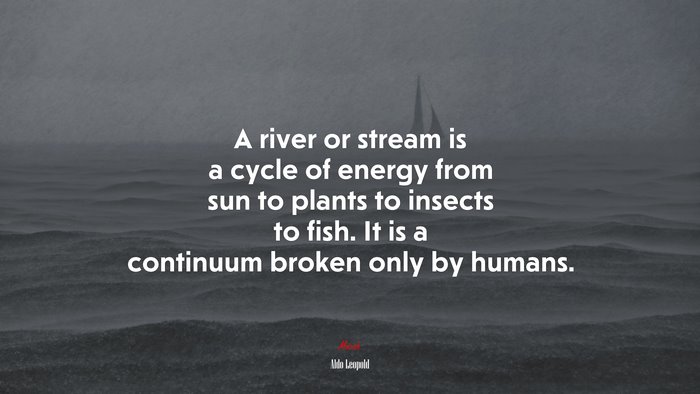A river or stream is a cycle of energy from sun to plants to insects to fish. It is a continuum broken only by humans. | Aldo Leopold quote