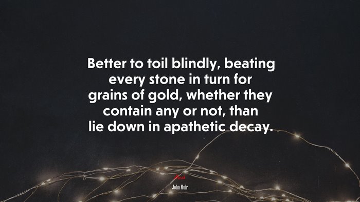 Better to toil blindly, beating every stone in turn for grains of gold, whether they contain any or not, than lie down in apathetic decay. | John Muir quote