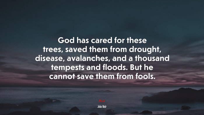 God has cared for these trees, saved them from drought, disease, avalanches, and a thousand tempests and floods. But he cannot save them from fools. | John Muir quote