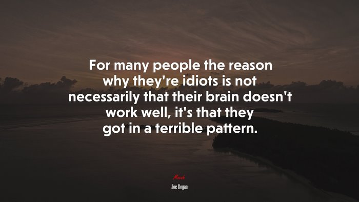 For many people the reason why they’re idiots is not necessarily that their brain doesn’t work well, it’s that they got in a terrible pattern. | Joe Rogan quote