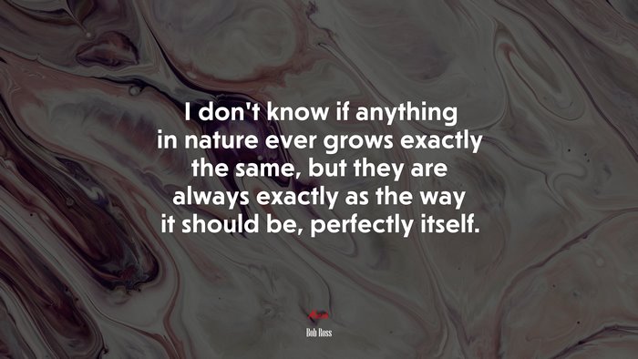 I don’t know if anything in nature ever grows exactly the same, but they are always exactly as the way it should be, perfectly itself. | Bob Ross quote
