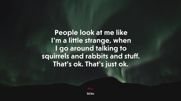 People look at me like I’m a little strange, when I go around talking to squirrels and rabbits and stuff. That’s ok. That’s just ok. | Bob Ross quote