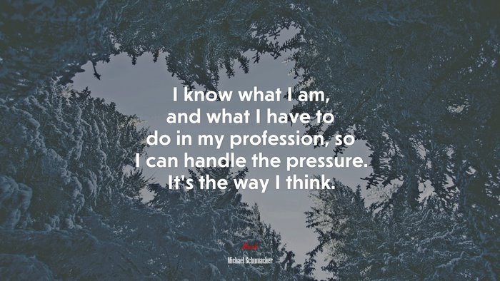 I know what I am, and what I have to do in my profession, so I can handle the pressure. It’s the way I think. | Michael Schumacher quote